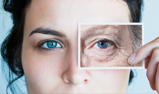 Illustration of senescent zombie cells and their inflammatory effects on aging tissue