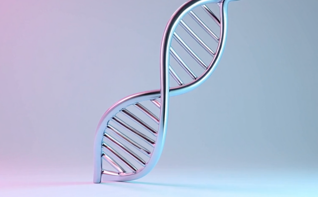 Illustration of sirtuin proteins regulating DNA repair and cellular aging processes