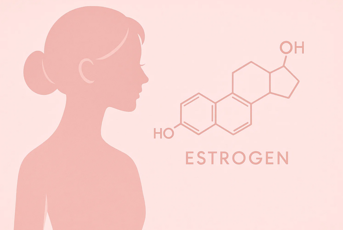 Illustration of estrogen dominance symptoms and natural hormone balancing solutions for women